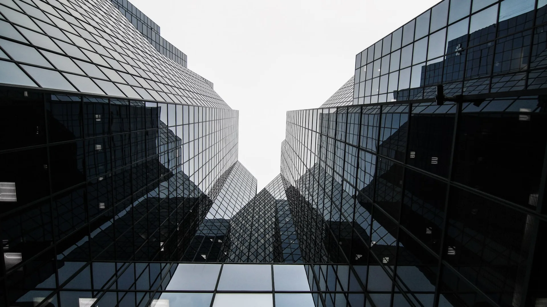 Ahmedabad Laravel Developer